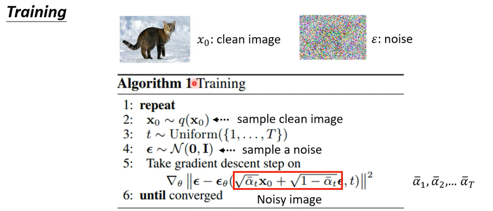 image-20250228152013560