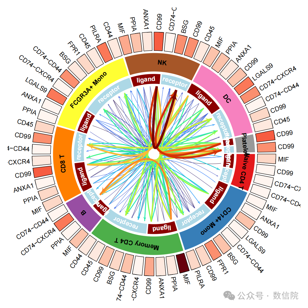 如何使用服务器R绘制lr通讯弦图?_r绘制细胞通讯弦图,ligand和receptor弦图-CSDN博客