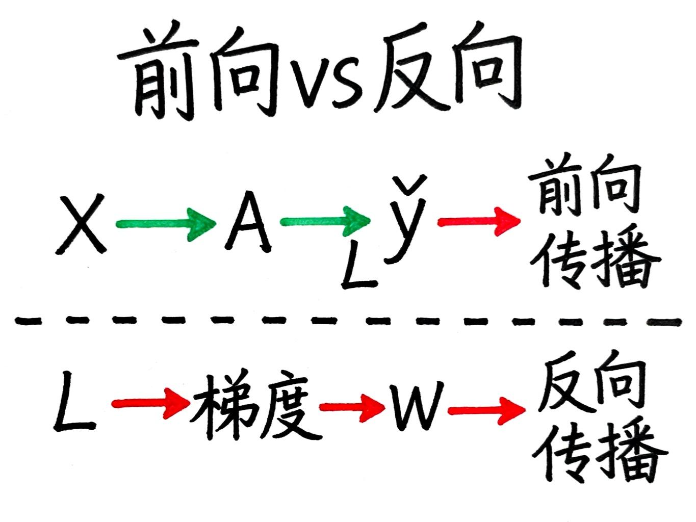 前向与反向传播图