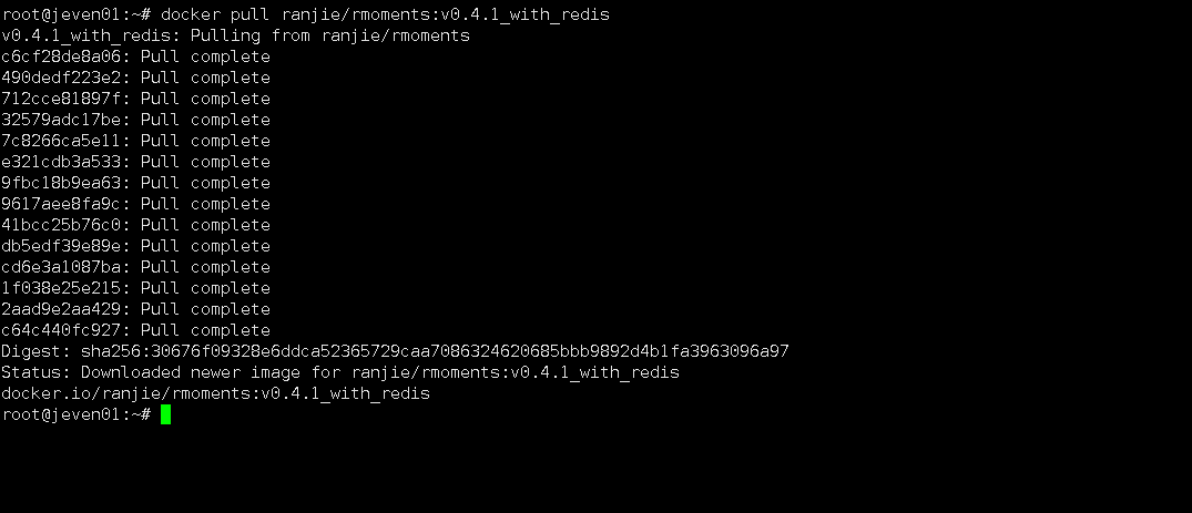 【Docker项目实战】使用Docker部署rmoments简单朋友圈应用_docker