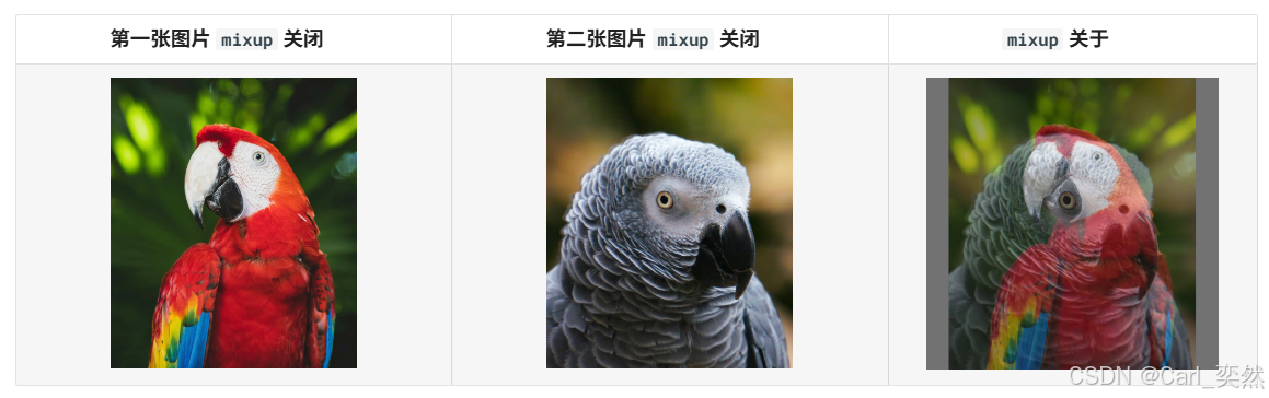 【机器视觉】一文掌握数据扩充方法，确实很赞。_人工智能_09