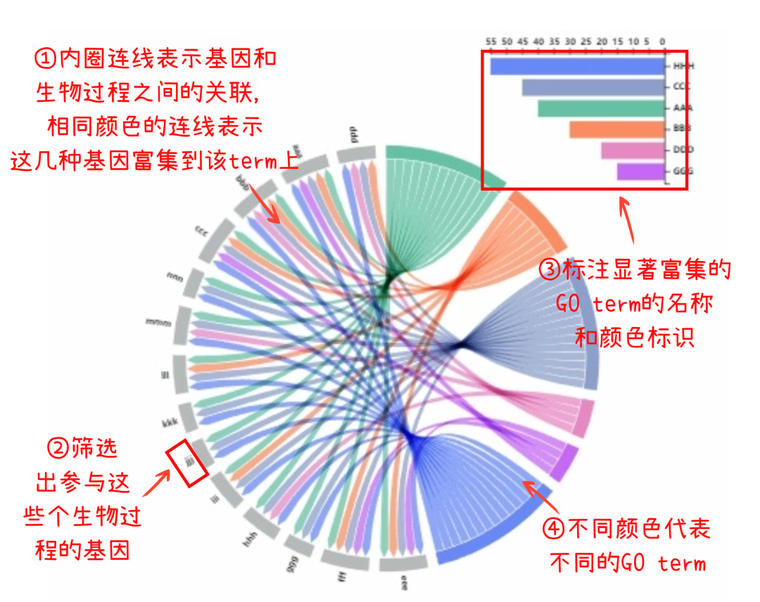 读文献先读图:GO弦图怎么看?_单细胞测序 弦图怎么看-CSDN博客