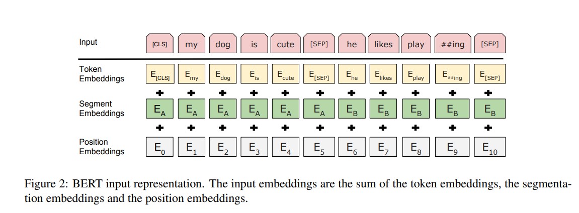 Pytroch实现bert网络文本分类_代码实现_02
