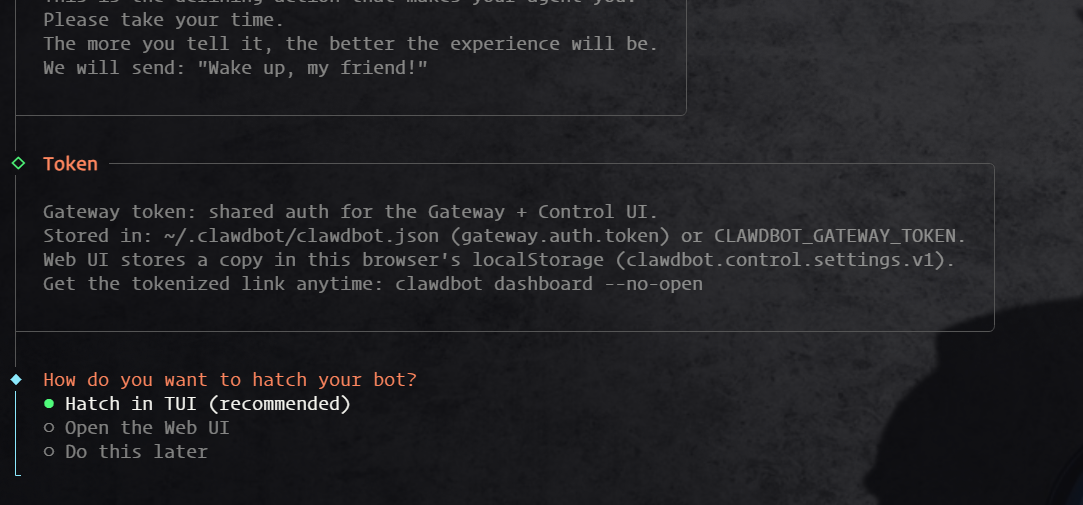 Clawdbot 选择 TUI 终端界面