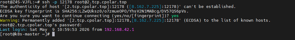 image-20260509155111600