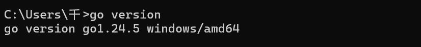 image-20250723121723598