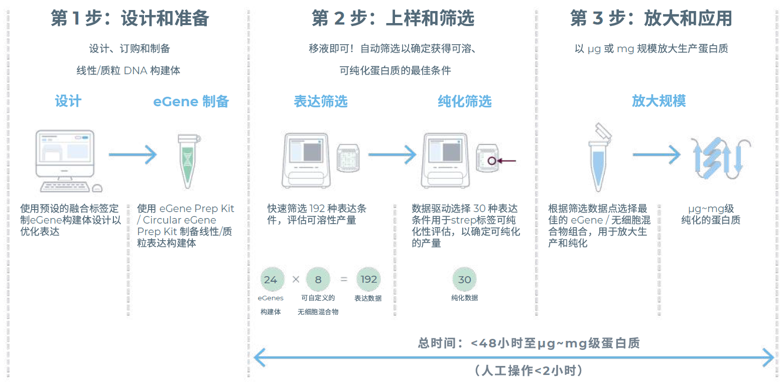 无细胞蛋白表达流程
