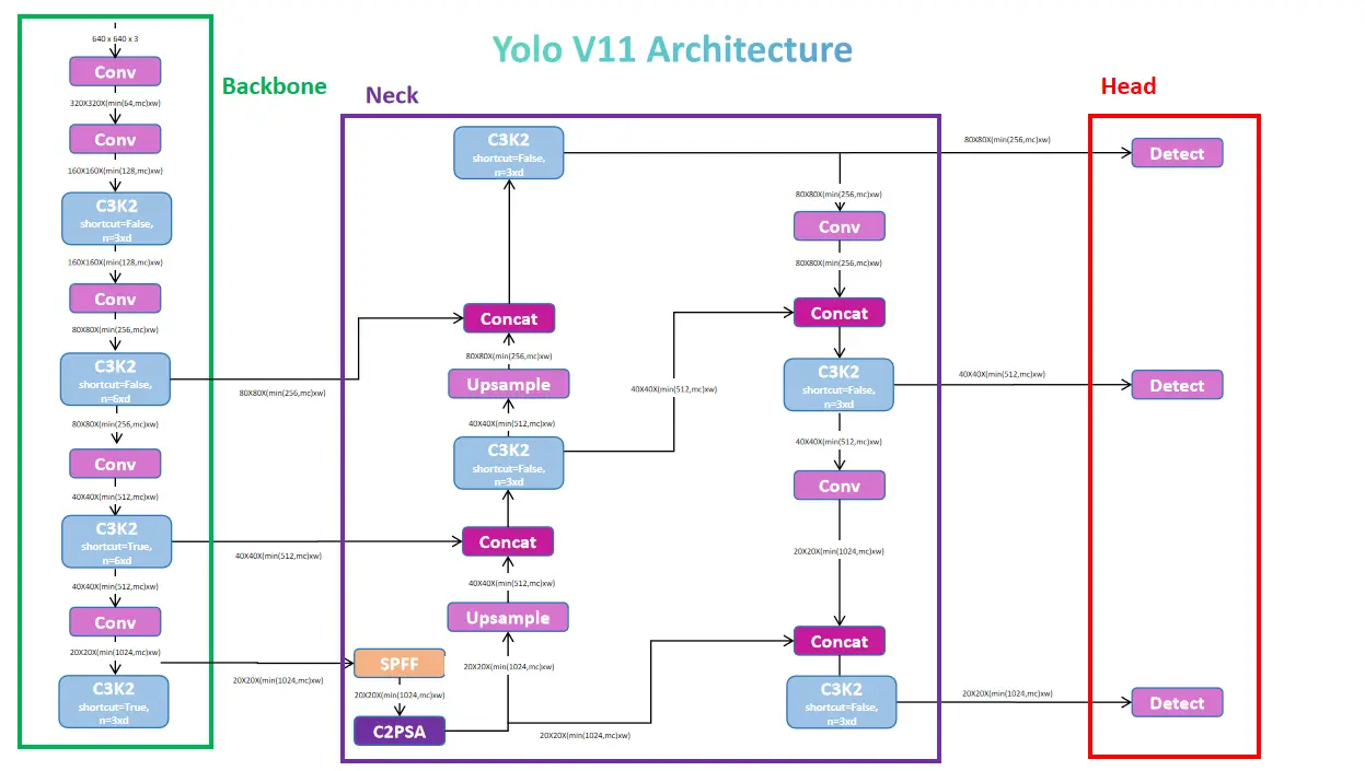 YOLOv11整体架构图