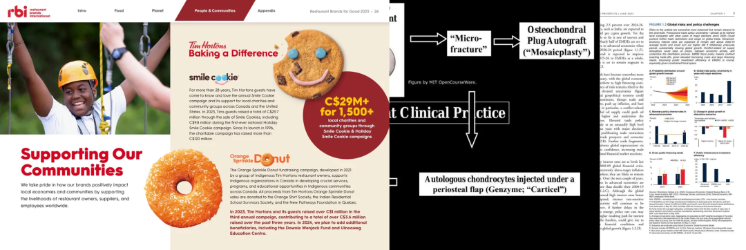 ViDoRe v2 基准数据集的样本