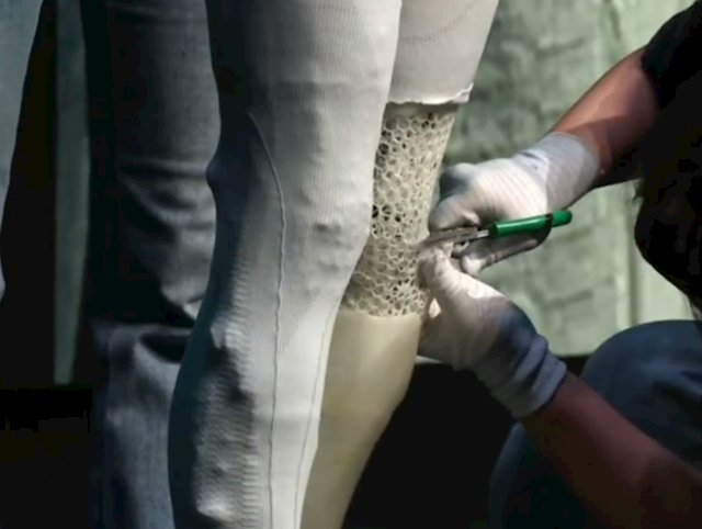 小鹏首款女性机器人现场“脱衣割肉”!历史上第一次机器人证明自己不是人