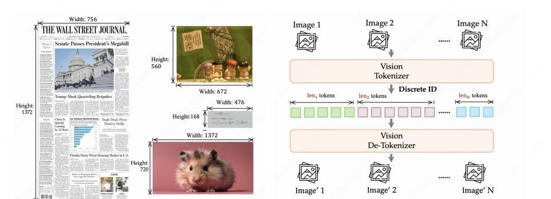 图4:离散原生分辨率视觉 Transformer(dNaViT)设计概览