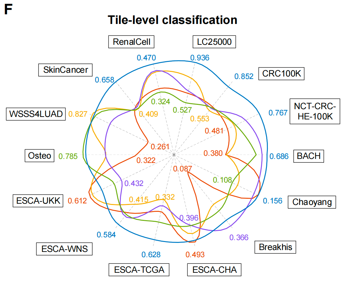 怎么买病理图文上海交大医工交叉团队在Nature与Cancer Cell连发两篇文章，均指向罕见病诊断难题_https://www.jmylbn.com_新闻资讯_第9张