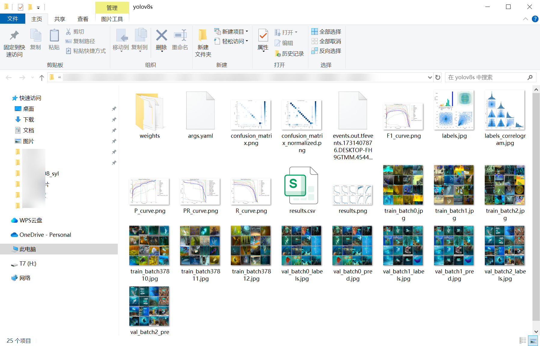 62_ocean_garbage_det-weights_folder_screenshot.png