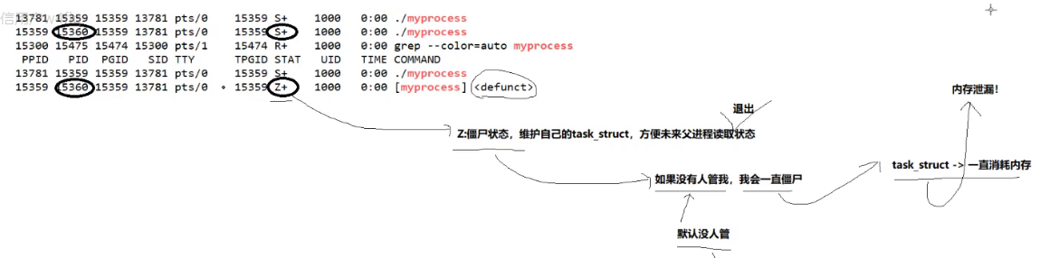 image-20241107105703087