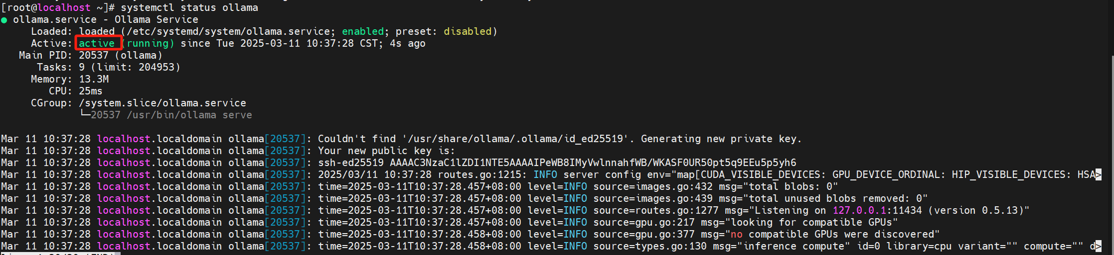 image-20250311103813981