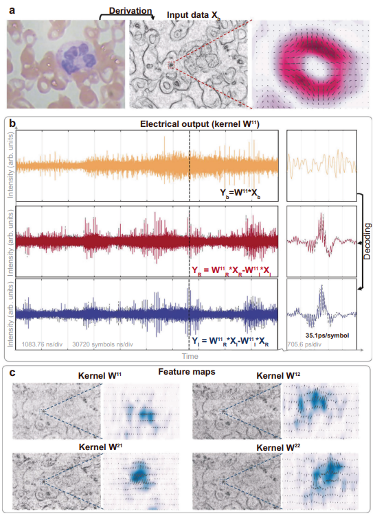Experimental results of CVOCA with input data Xb. a