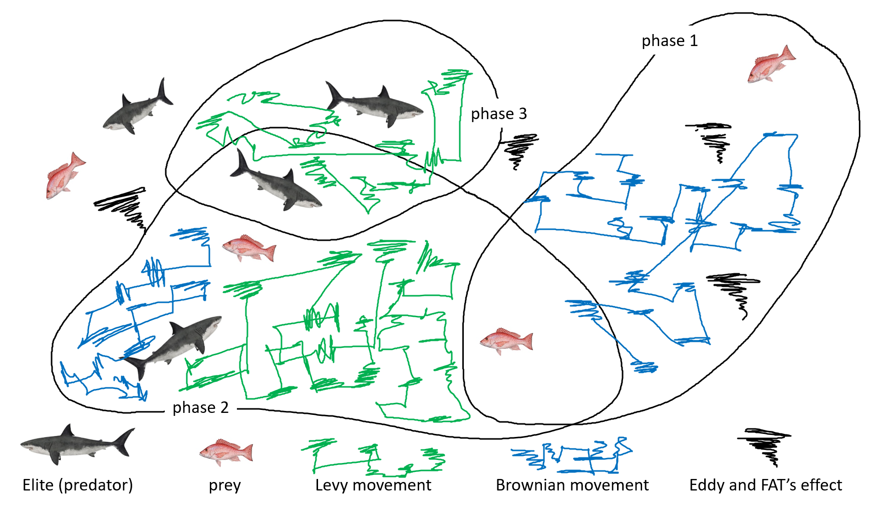 图5：海洋捕食者元启发式的三个阶段