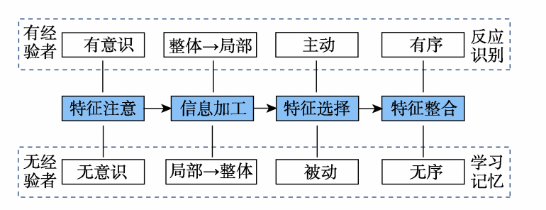 有无经验者内饰造型特征识别过程