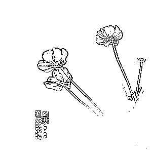 image-20250723193728423