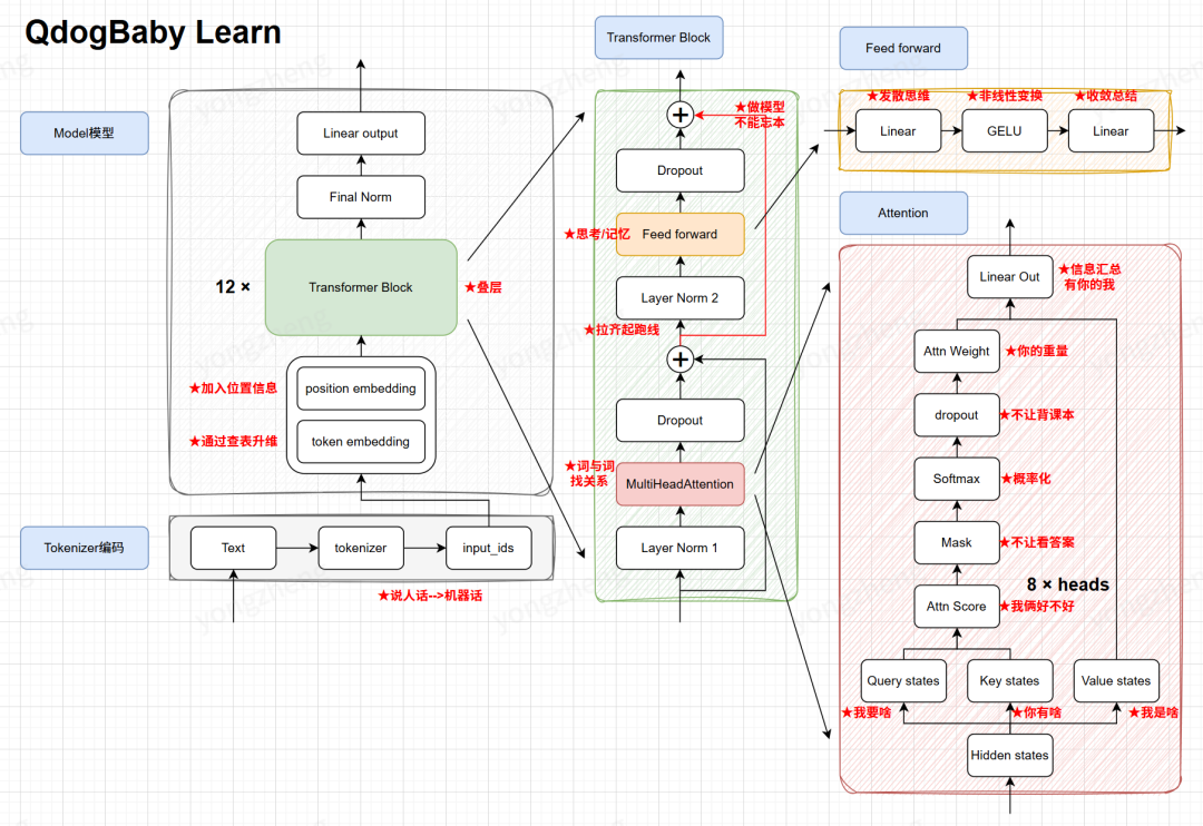 QDogBaby模型结构