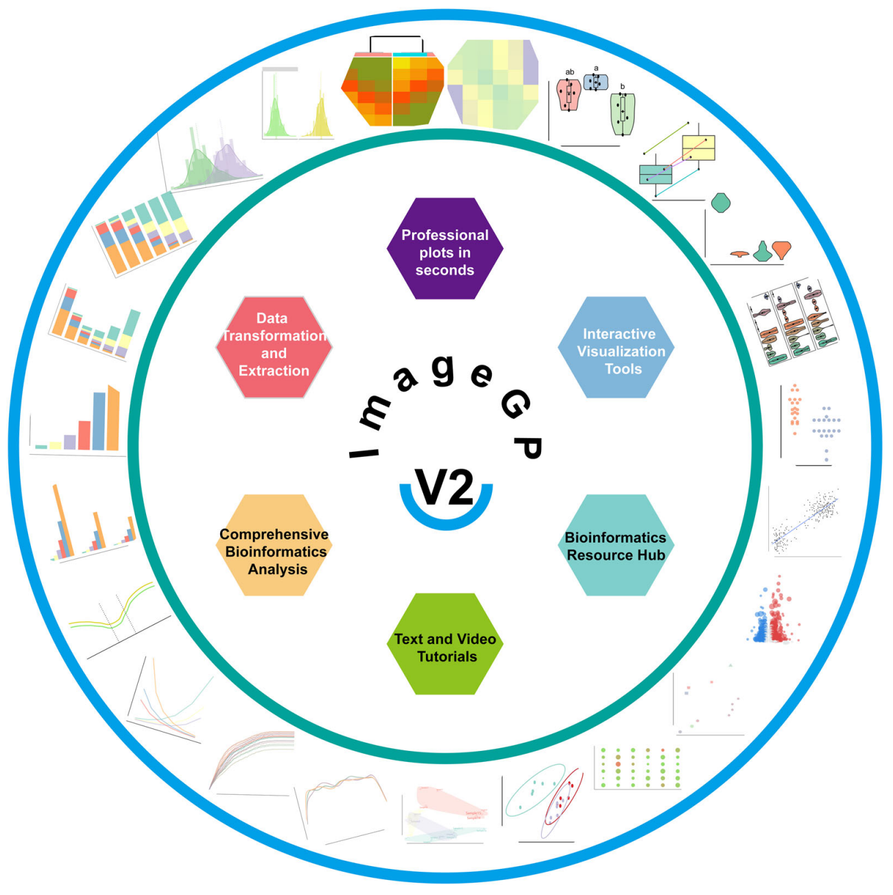 Figure 1. ImageGP 2 的功能框架