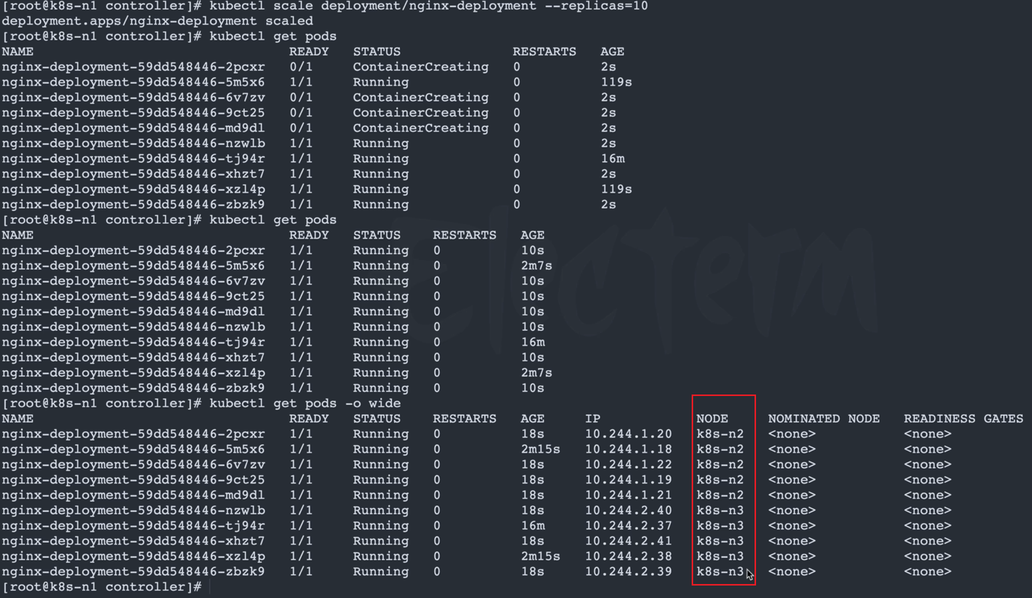 image-20251122224838857