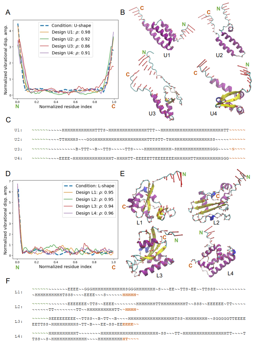 MIT提出首个端到端动力学蛋白质生成模型VibeGen，实现序列与振动的双向映射