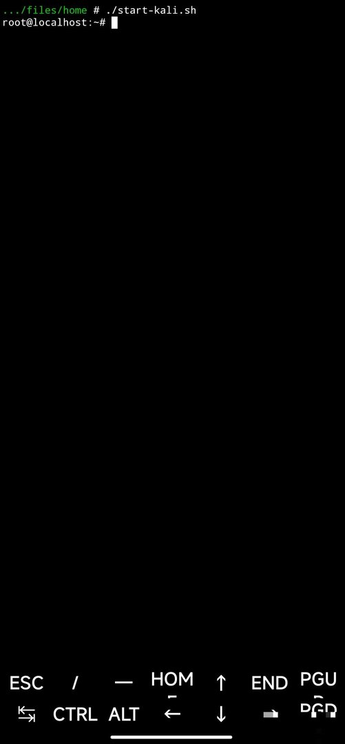成功正常启动