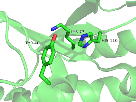 pymol入门教程-1:-CSDN博客