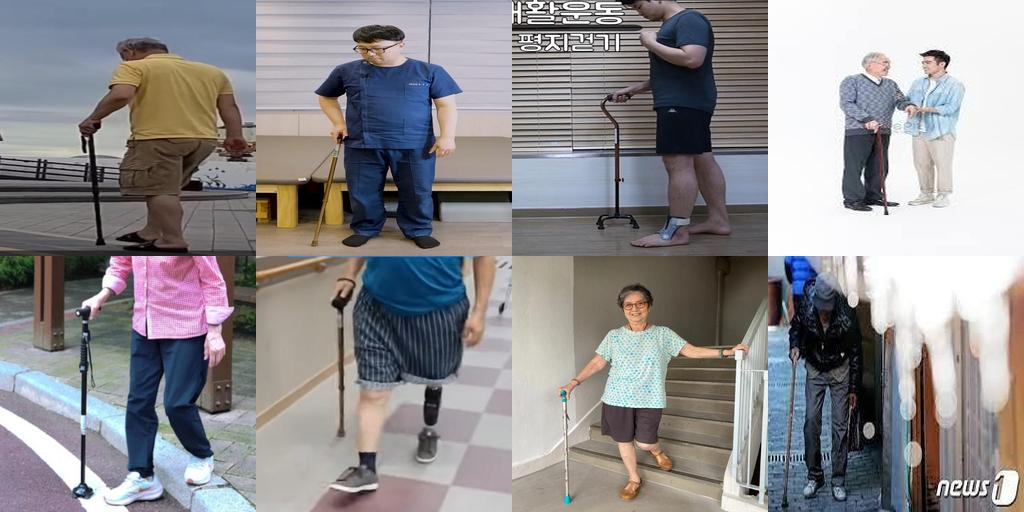 标注图2