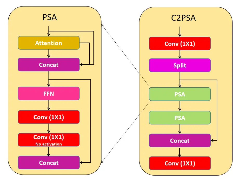 C2PSA模块结构
