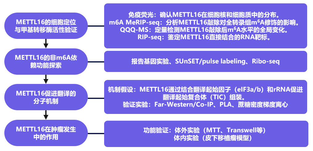 QQ20250428-141238.png