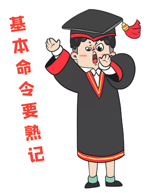 image-20220606174130937
