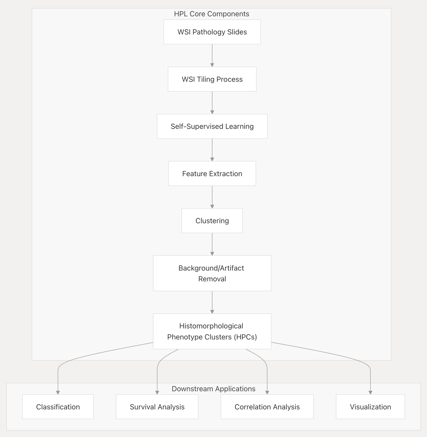 组织形态表型学习(HPL)核心流程的流程图