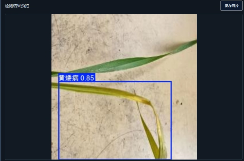 image-20260113002936113