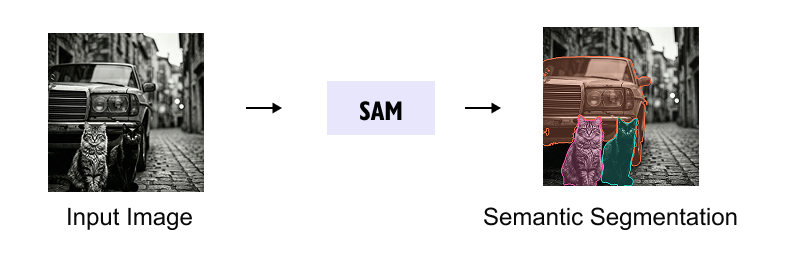 SAM 官方 Demo 交互分割示意