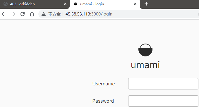 Umami统计查看页面