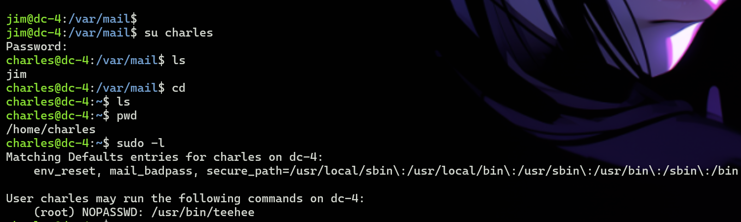 image-20250113204407282