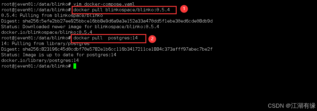 【Docker项目实战】使用Docker部署Blinko开源个人笔记工具_Docker