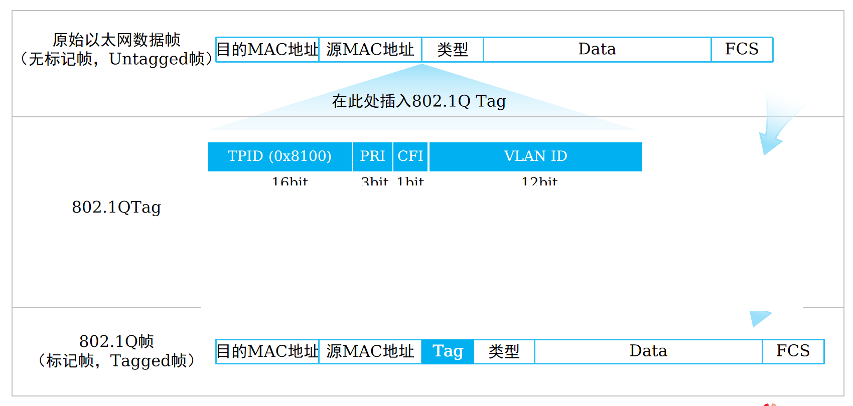 VLAN数据帧